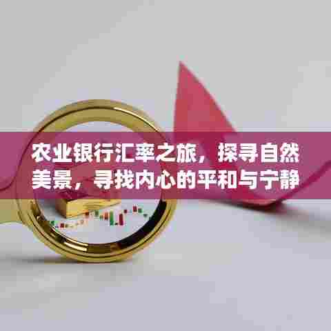 农业银行汇率之旅,探寻美景,寻觅心灵宁静