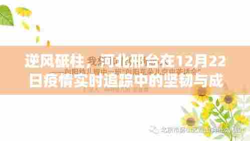 河北邢台疫情实时追踪,逆风砥柱的坚韧与成长之路