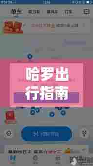 十二月高效跑单指南,哈罗出行实时订单攻略