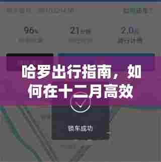 十二月高效跑单指南,哈罗出行实时订单攻略