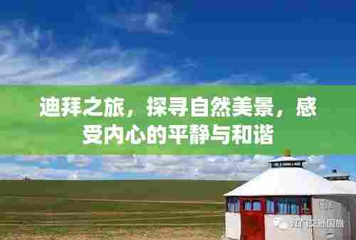 迪拜之旅，探寻自然美景，体验内心平和和谐之道