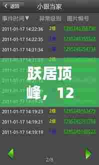 跃居顶峰,实时更新游戏排行榜的励志软件之旅,12月22日巅峰之战!