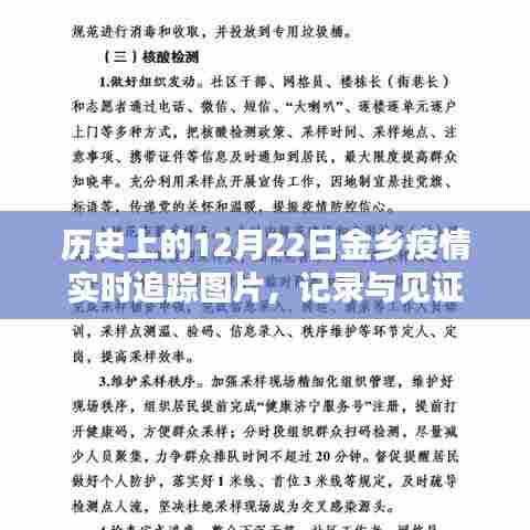 历史上的金乡疫情追踪,实时图片记录与见证