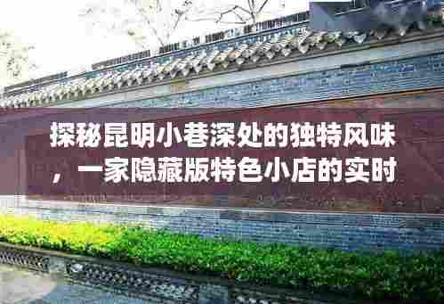 昆明小巷深处的独特风味,隐藏版特色小店的探索之旅