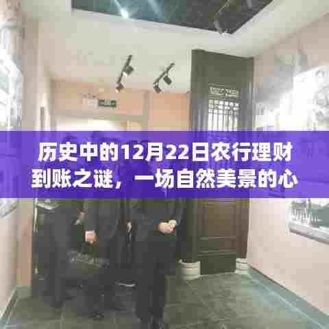 揭秘历史中的理财到账之谜,一场心灵之旅的农行理财与自然美景探索