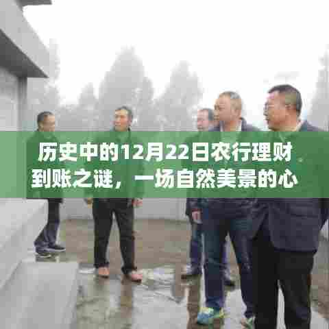 揭秘历史中的理财到账之谜,一场心灵之旅的农行理财与自然美景探索