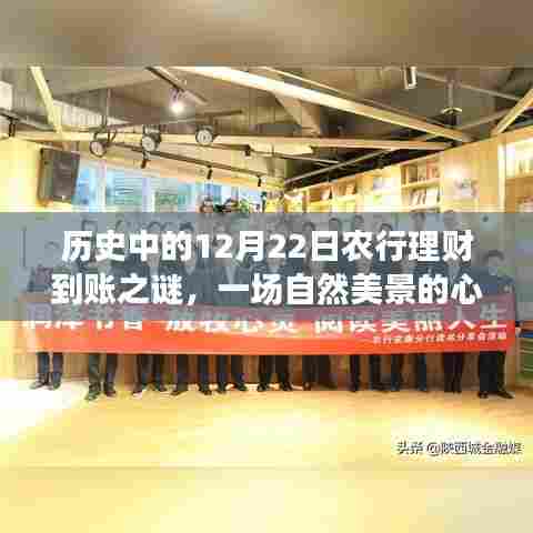 揭秘历史中的理财到账之谜,一场心灵之旅的农行理财与自然美景探索