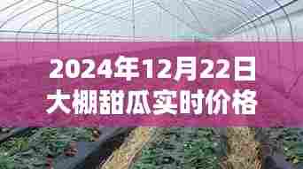 大棚甜瓜实时价格行情（最新更新至2024年12月）