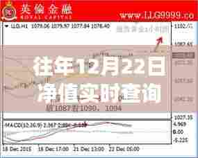 金融投资实时净值查询,透明便捷,洞悉投资动向