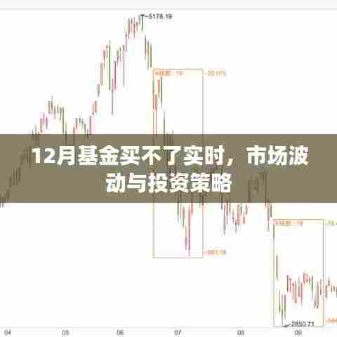 市场波动下的12月基金投资,实时购买策略与应对策略