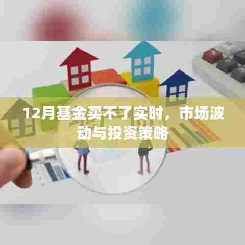 市场波动下的12月基金投资,实时购买策略与应对策略