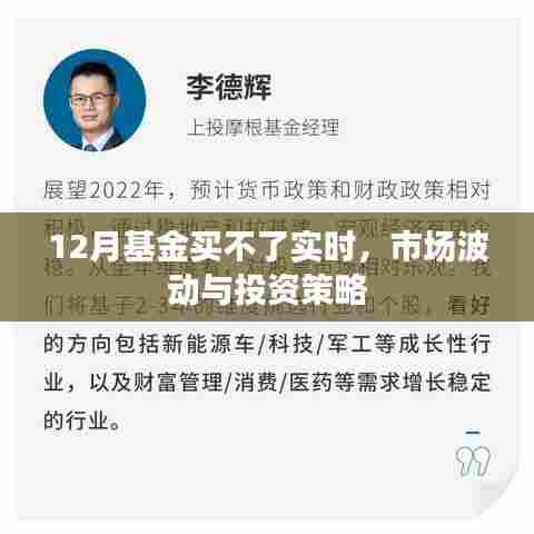 市场波动下的12月基金投资,实时购买策略与应对策略