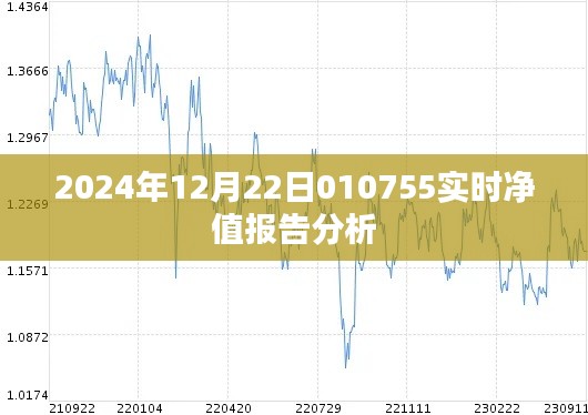 关于日期净值报告的分析与解读,聚焦实时数据