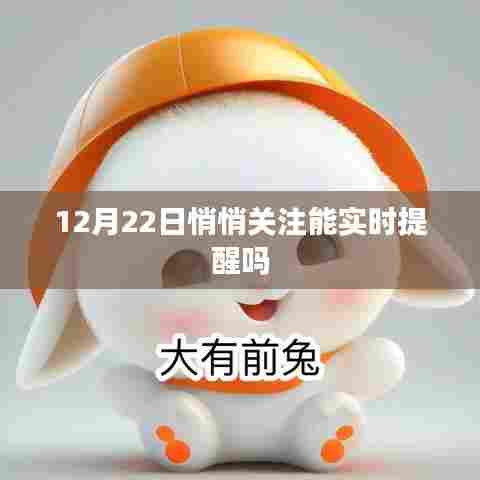 悄悄关注提醒功能,实时追踪通知