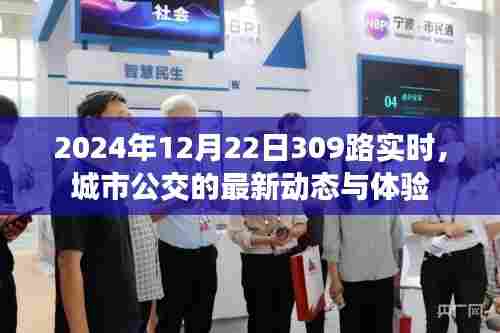 2024年城市公交新动态,309路实时体验报告