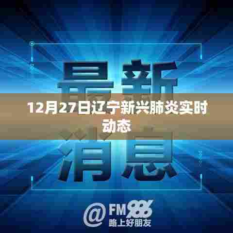 辽宁新兴肺炎最新实时动态（12月27日）