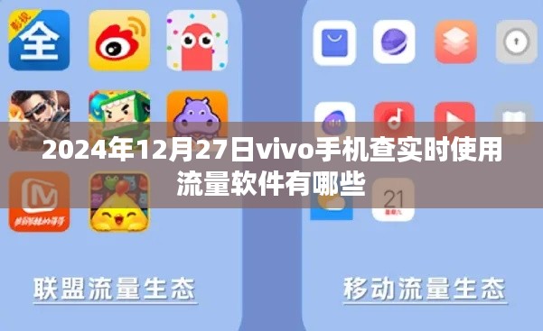 vivo手机查实时流量软件推荐 2024年最新榜单