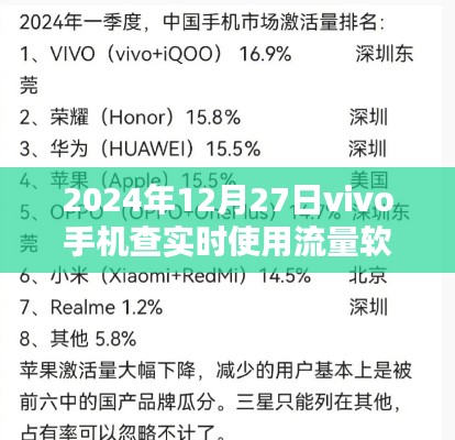 vivo手机查实时流量软件推荐 2024年最新榜单