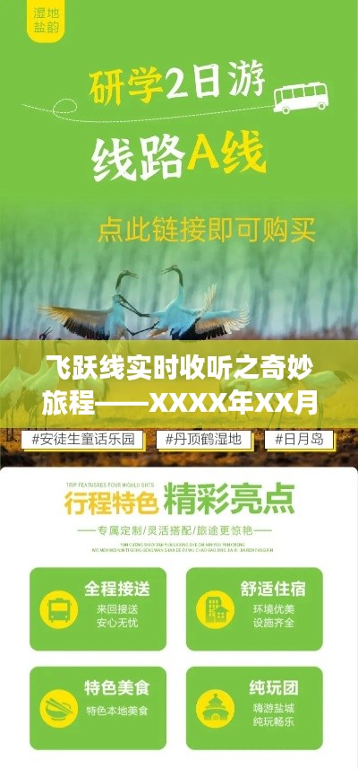 飞跃线实时收听奇妙之旅,XXXX年XX月XX日的特别体验