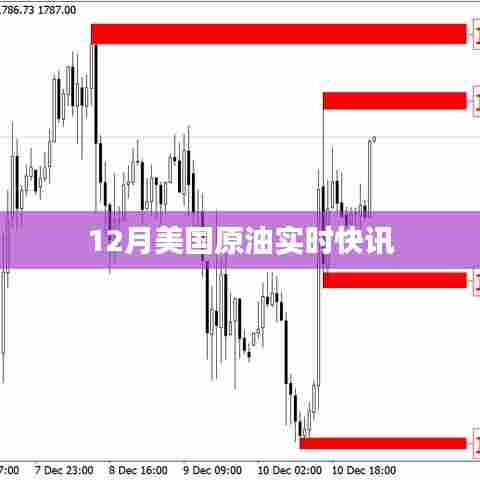 美国原油实时快讯,最新动态与走势分析