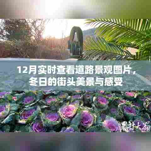 马马虎虎 第3页