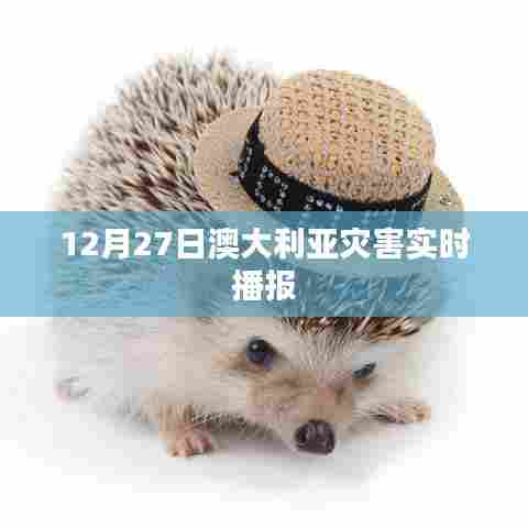 澳大利亚灾害最新实时播报(12月27日)