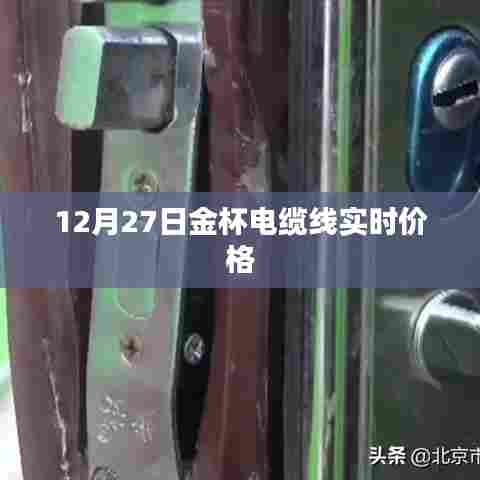 金杯电缆线最新实时价格(12月27日)