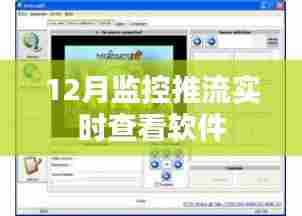 监控软件实时推流查看工具