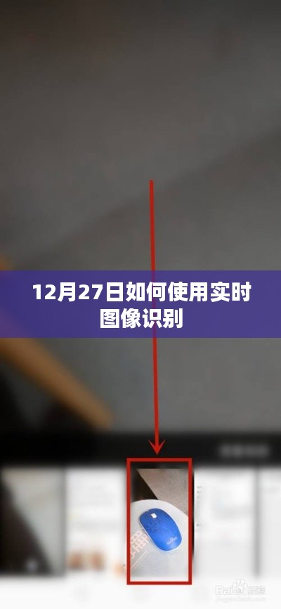 实时图像识别使用指南,12月27日操作教程