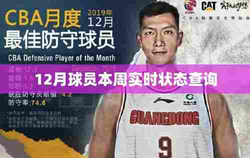 球员实时状态查询系统（最新更新）