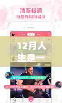 人生直播,12月的实时记录