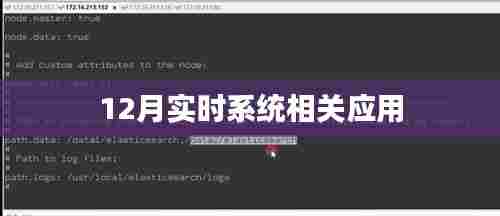 实时系统应用趋势分析,聚焦十二月应用进展