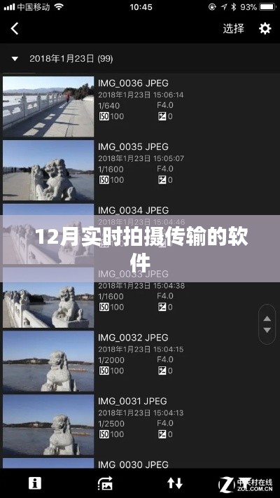 纲挈目张 第3页