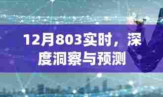 12月803实时洞察与预测报告