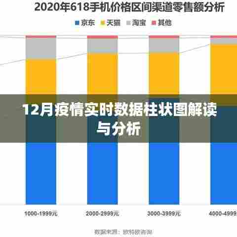 12月疫情实时数据解读与分析，柱状图揭示趋势