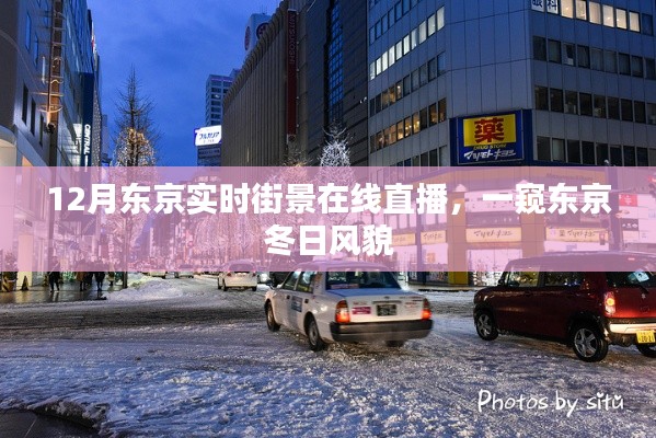 东京冬季街景直播,实时感受冬日风情