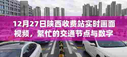陕西收费站繁忙交通节点数字化管理缩影，实时画面视频曝光