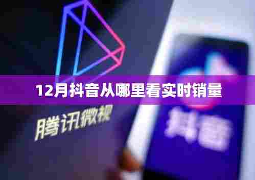 抖音实时销量查看指南