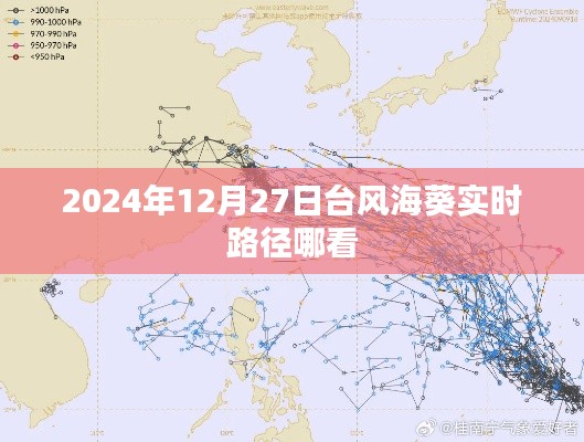 台风海葵实时路径动态,最新更新路径预测(时间,2024年)