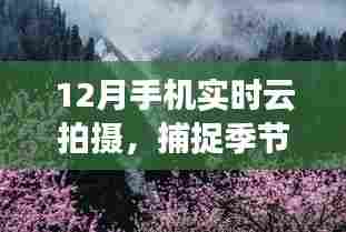 12月手机云拍摄,捕捉季节之美的实时方式