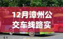 漳州公交实时查询系统，12月线路更新