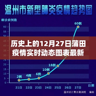 蒲田疫情实时动态图表,历史数据解析与最新更新