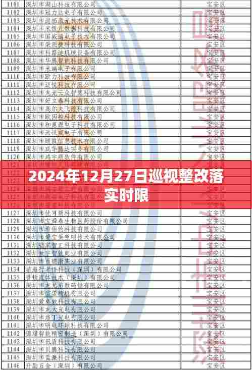 巡视整改落实时限倒计时启动，确保整改成效，监督执行至2024年结束