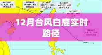 台风白鹿实时路径追踪报道