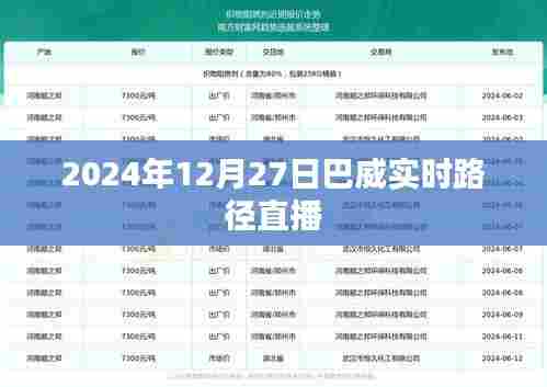 巴威实时路径直播,关注天气动态,掌握未来信息