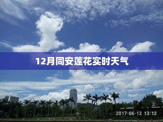 同安莲花12月实时天气预报