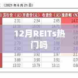 REITs在十二月备受瞩目