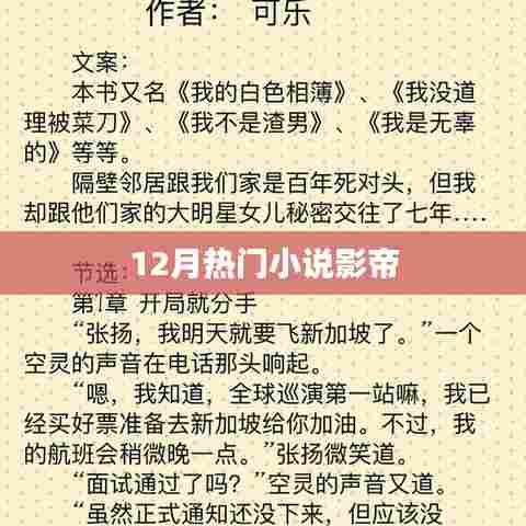 12月必读热门小说,影帝传奇故事