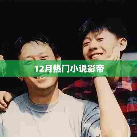 12月必读热门小说,影帝传奇故事