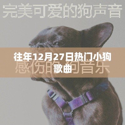 衣不兼采 第3页